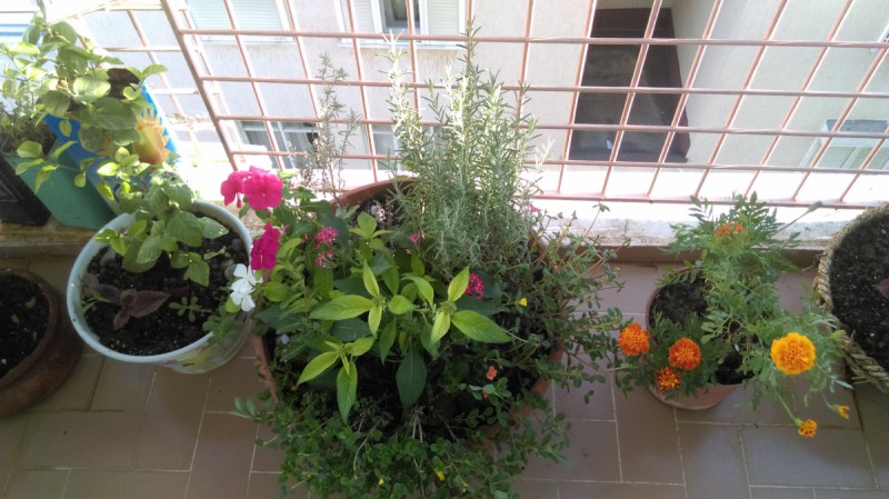 Benim melekler sehri evim