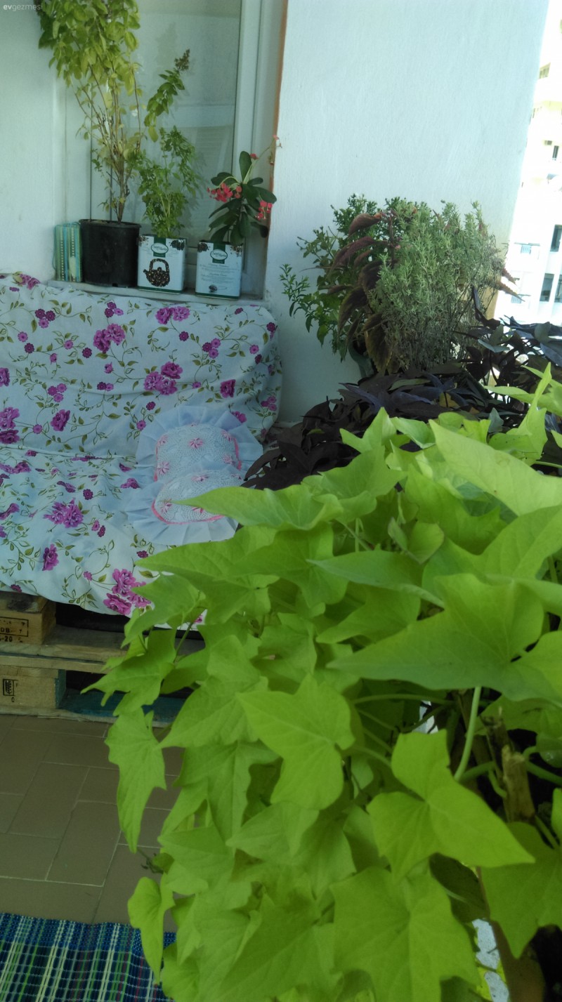 Benim melekler sehri evim