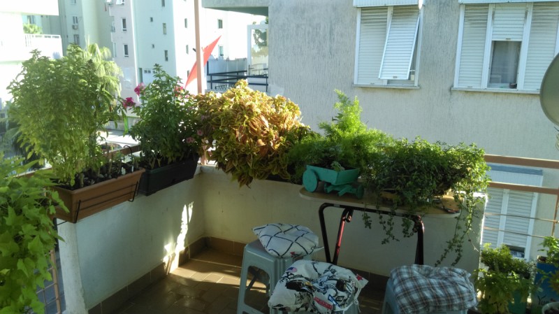 Benim melekler sehri evim