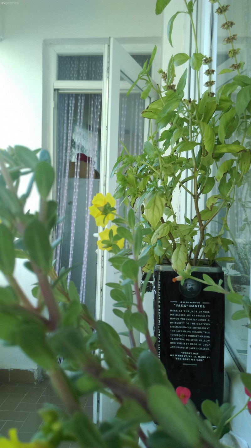 Benim melekler sehri evim