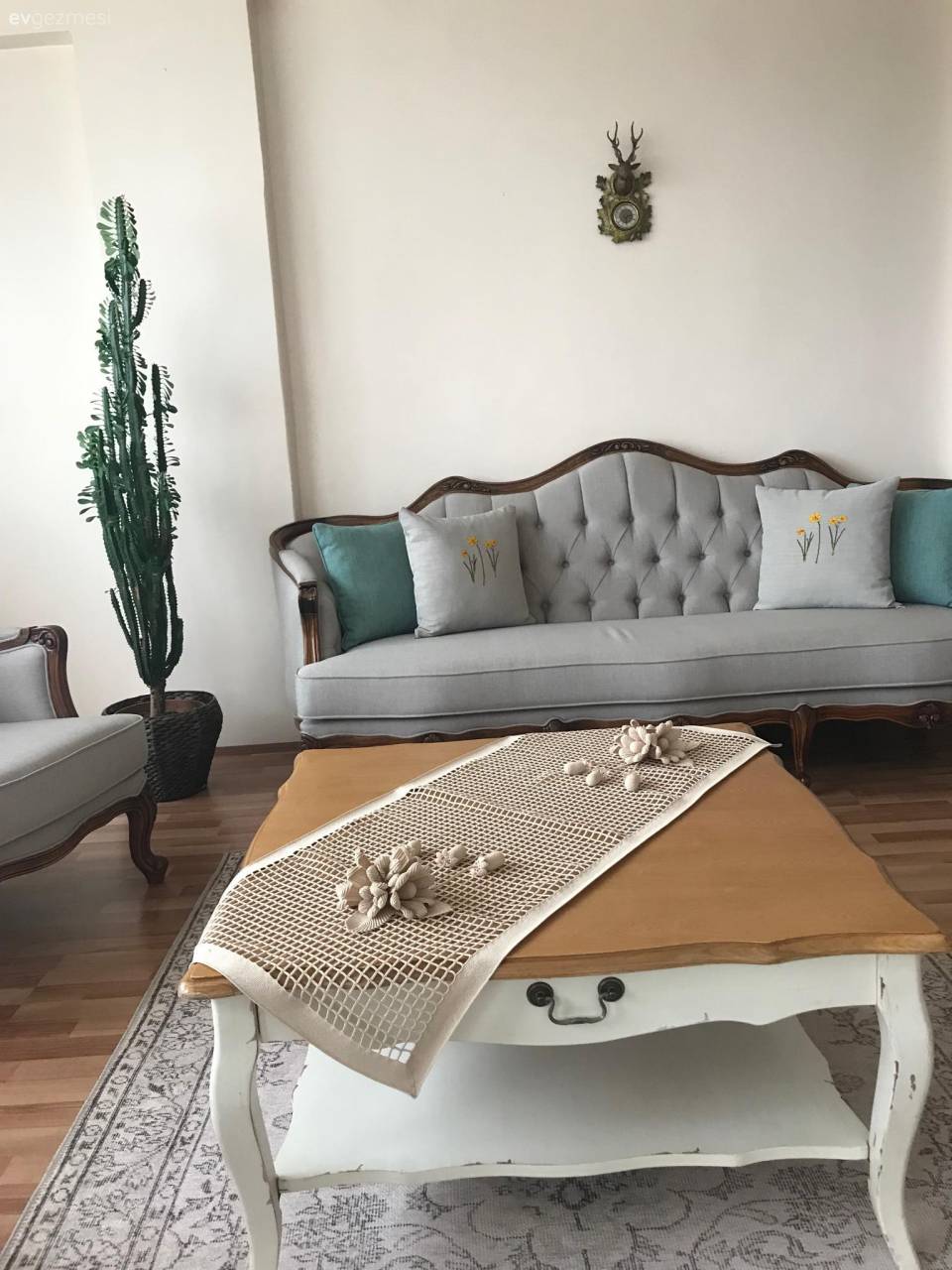 Country Dekorasyona Göre Salonlar: Öneriler, Fikirler