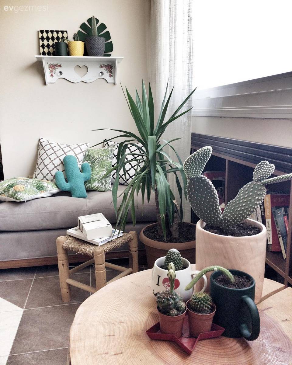 Cıvıl cıvıldan doğallığa. Pelin hanımın evinin eski ve yeni dekoru..