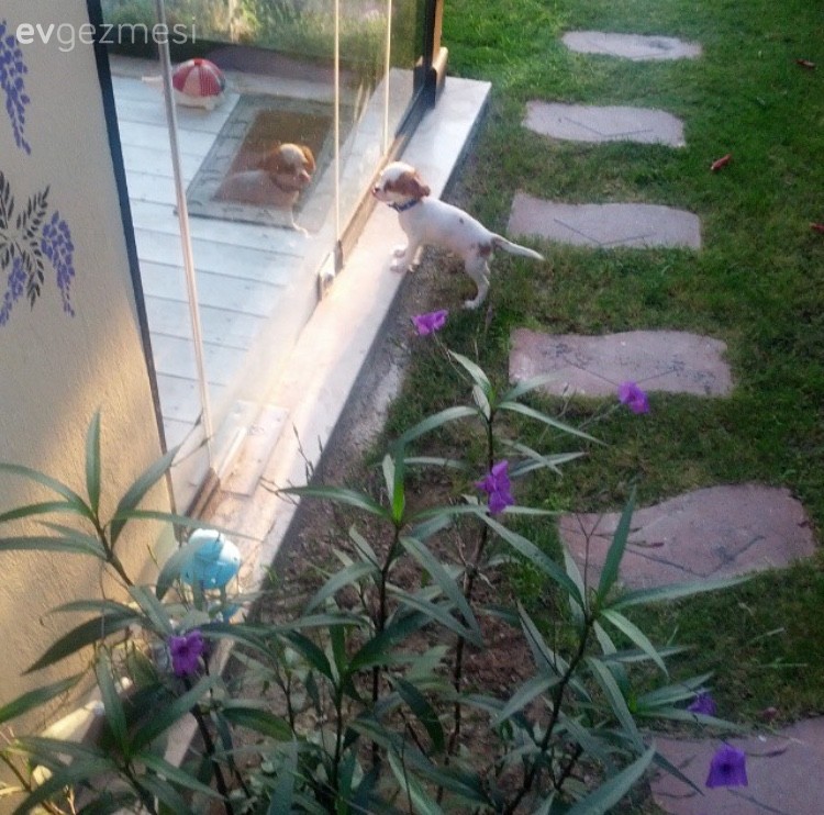 İçim Hanım'ın Alaçatı'da Yaz-Kış Yaşadığı Keyifli Evi..