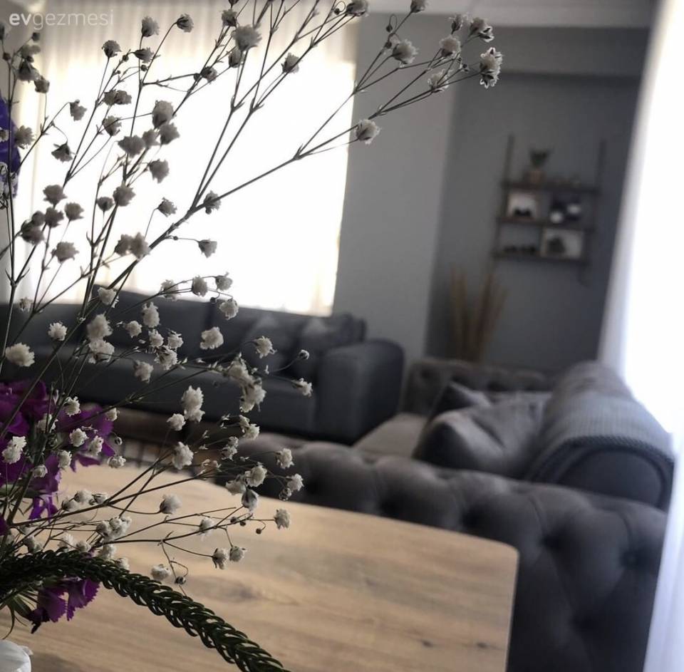 Ev Dekorasyonunda Uyumlu Renkler Nasıl Olur? 10 Temel Kural