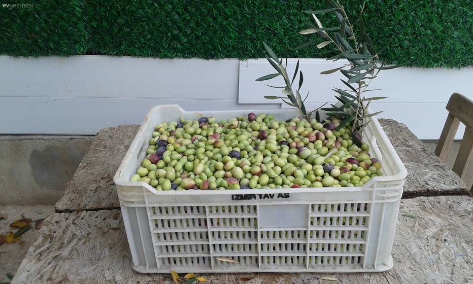 Tasarımlarım