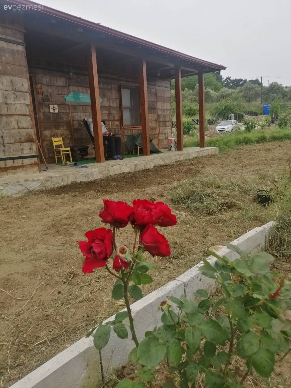 Kim Der Ki Bu Büyüleyici Evin Ahşapları Eski Bir Yolcu Gemisinden Alınmış!