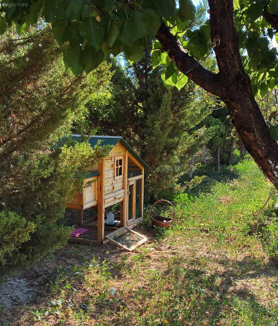 Ev Gezmesi: Bozkırın Ortasında 45 M2'lik Minik Bir Dünya