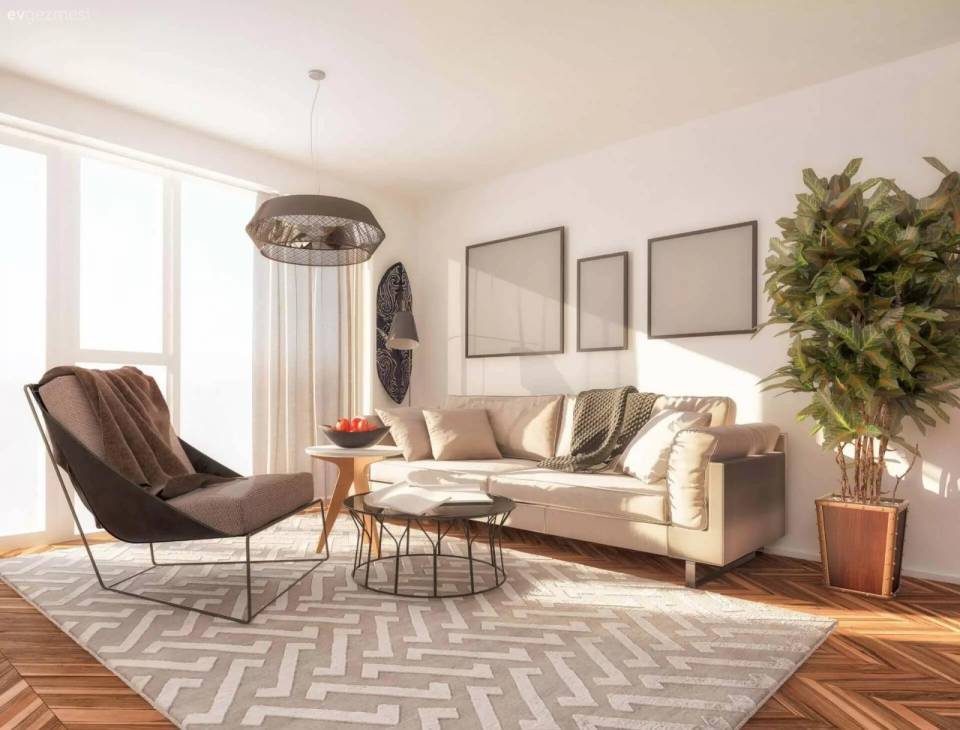 Aradığınız Her Halı Modelini, Uygun Fiyata Bulabileceğiniz İlk Adres: Halıstores Online Mağaza