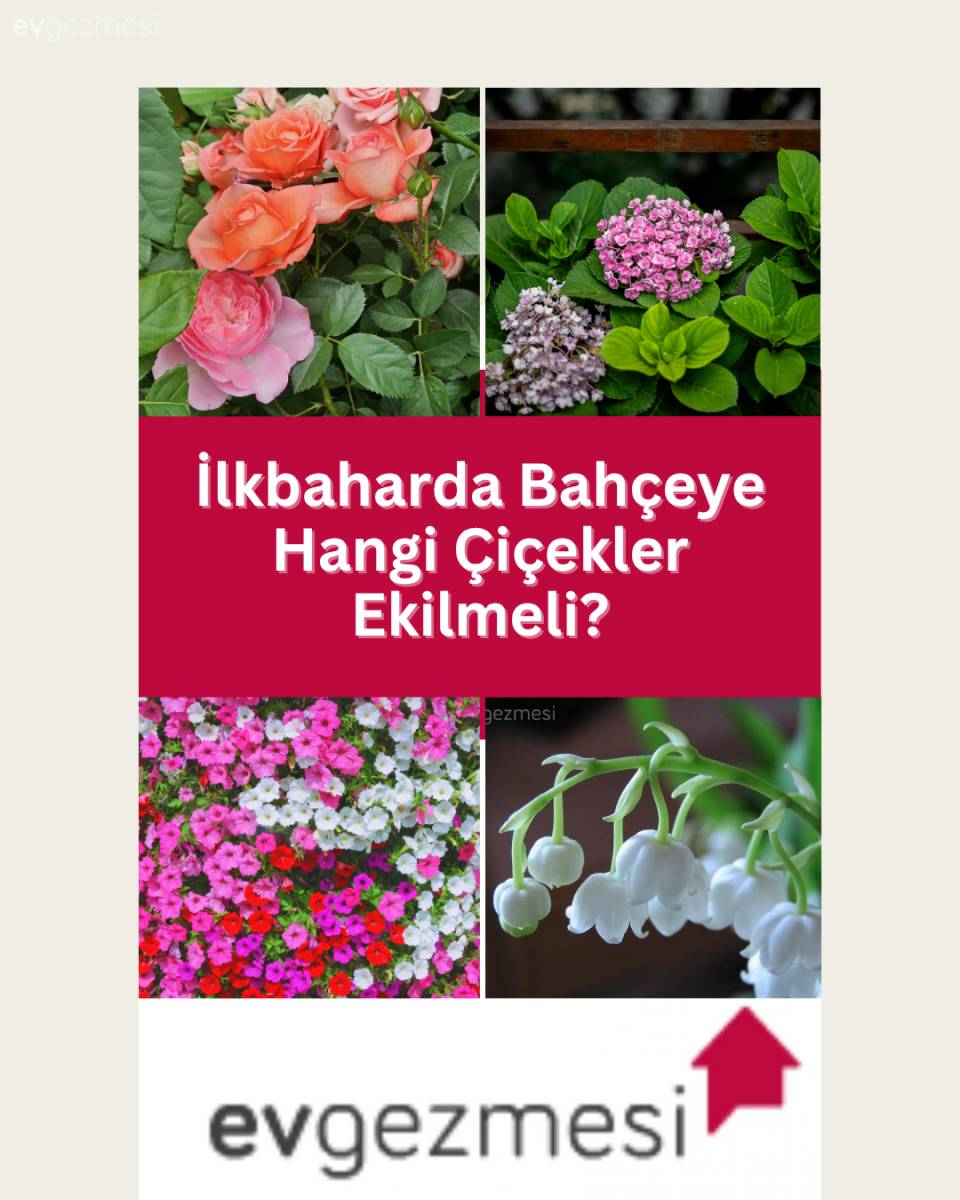 İlkbaharda Bahçeye Hangi Çiçekler Ekilmeli?