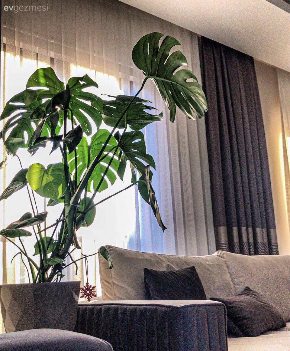 Bu Bursa Evinde Farklı Stiller Kardeş Kardeş Yaşıyor!