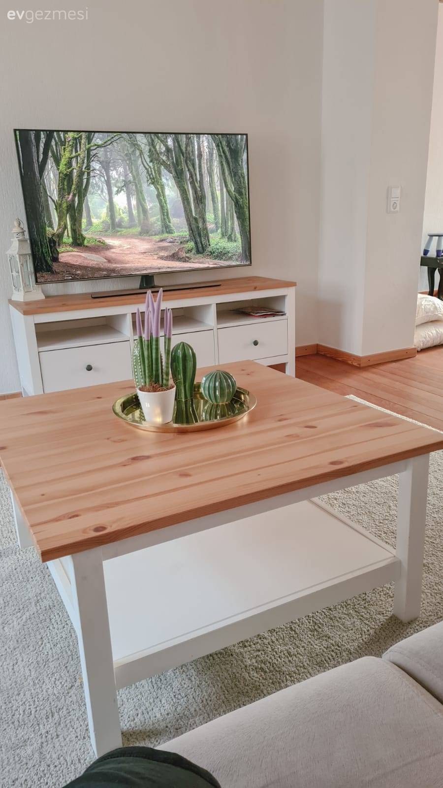 Ev Gezmesi: Yeni Düzenine Alışmaya Çalışan Bir Dekor