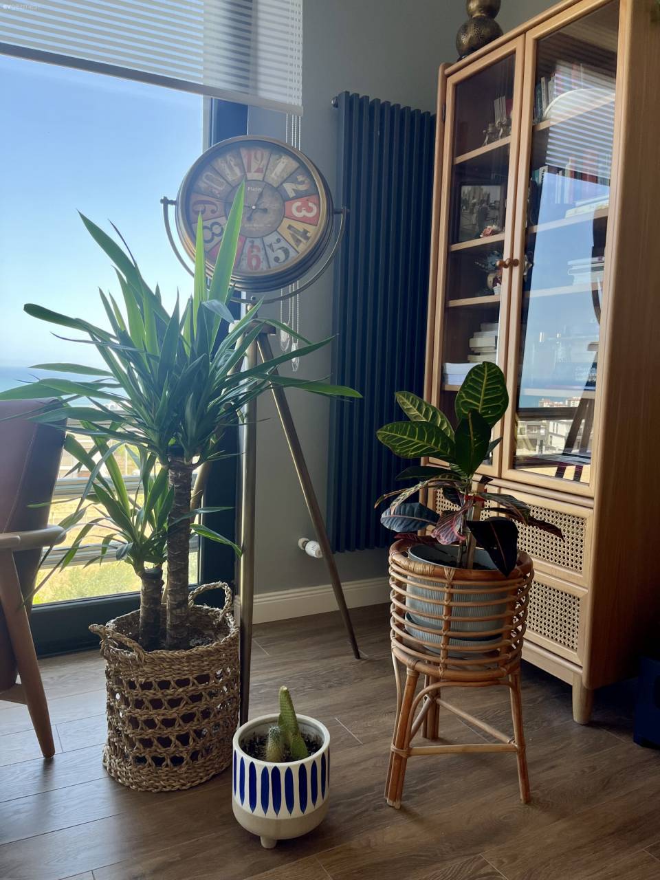 Tek Cephesi Tamamen Cam Olan Keyifli Samsun Evi! 