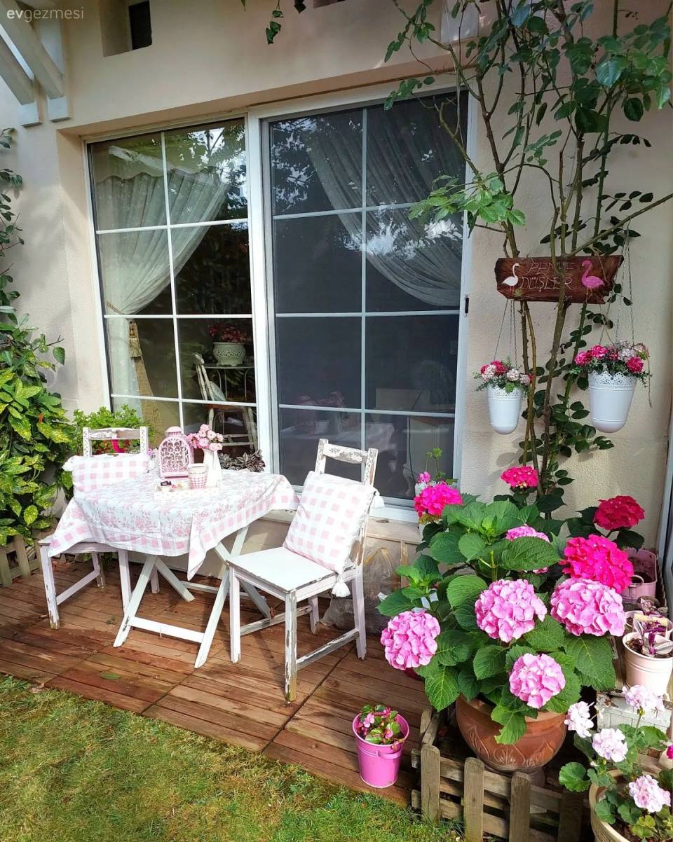 Ortancaların Ana Yurdu Gibi Duran Bu Bahçede Neşe Eksik Olmuyor!