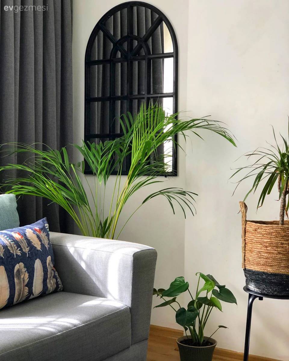 Modern Ruhlu Bu Salon Yeşil Duvarıyla Daha Bir Dikkat Çekici!