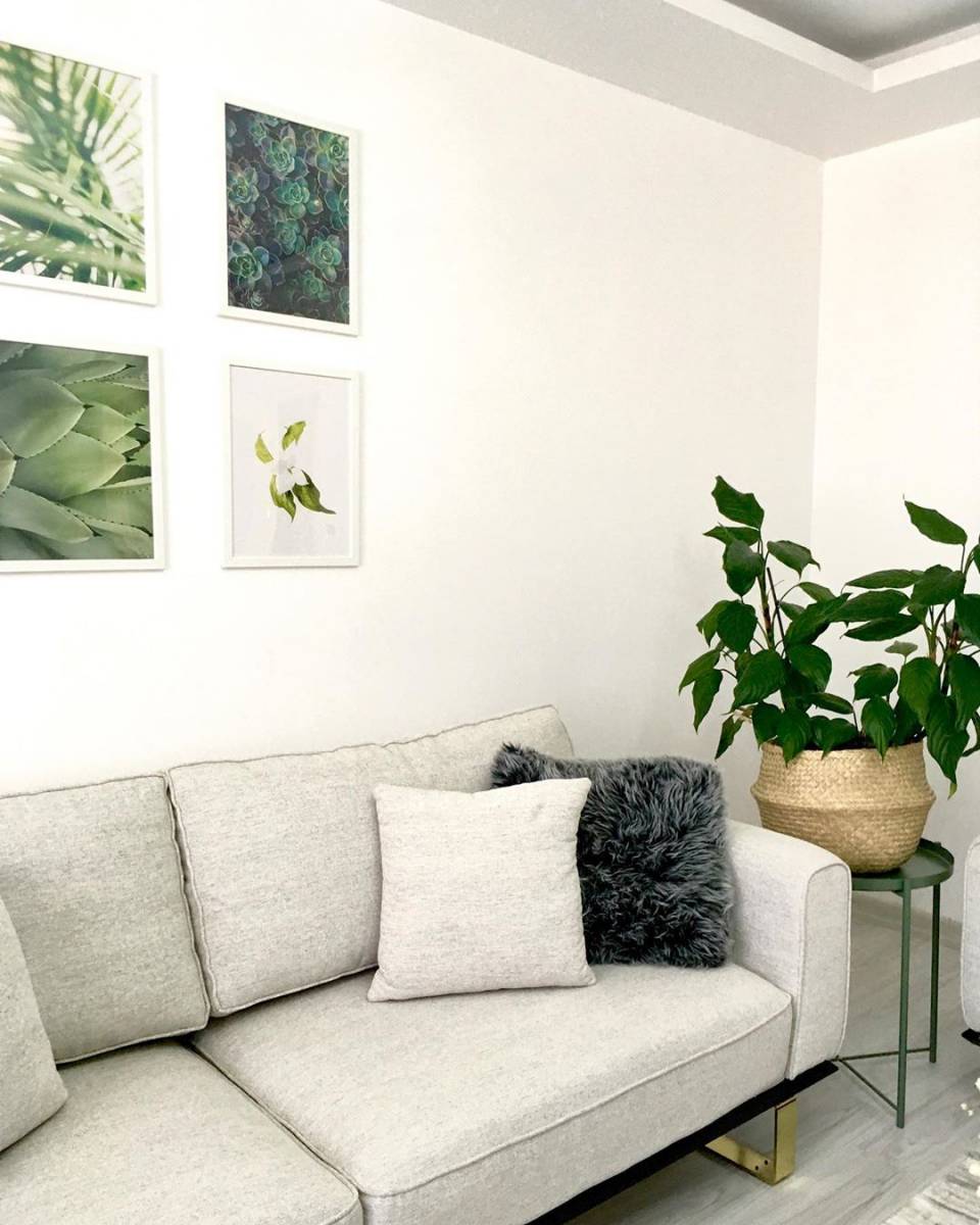 Bu Keyifli Evde Bitkilerin Enerjisi Göz Ardı Edilmemiş!