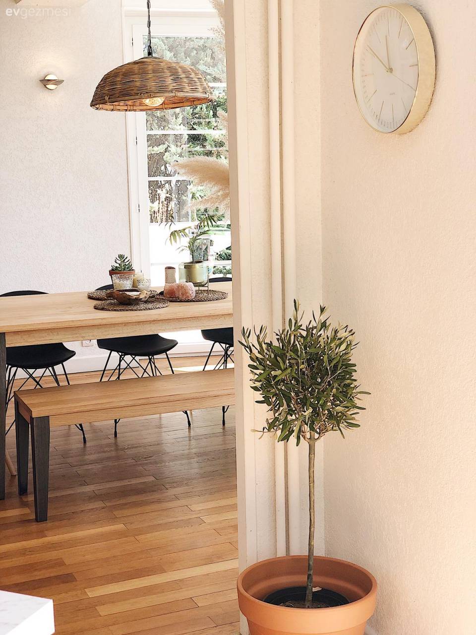 Bu Evin Renkleri Pencereden Yansıyan Güneşle Daha Güzelleşmiş