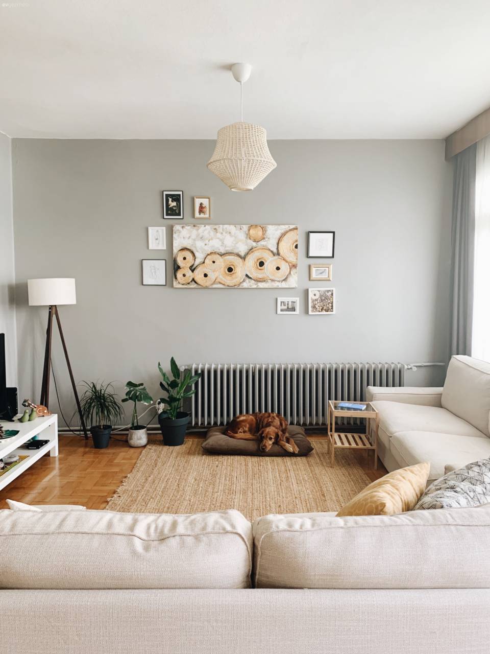 Bu Eski Apartman Dairesinde Asıl Ev Sahibi Bitkiler!