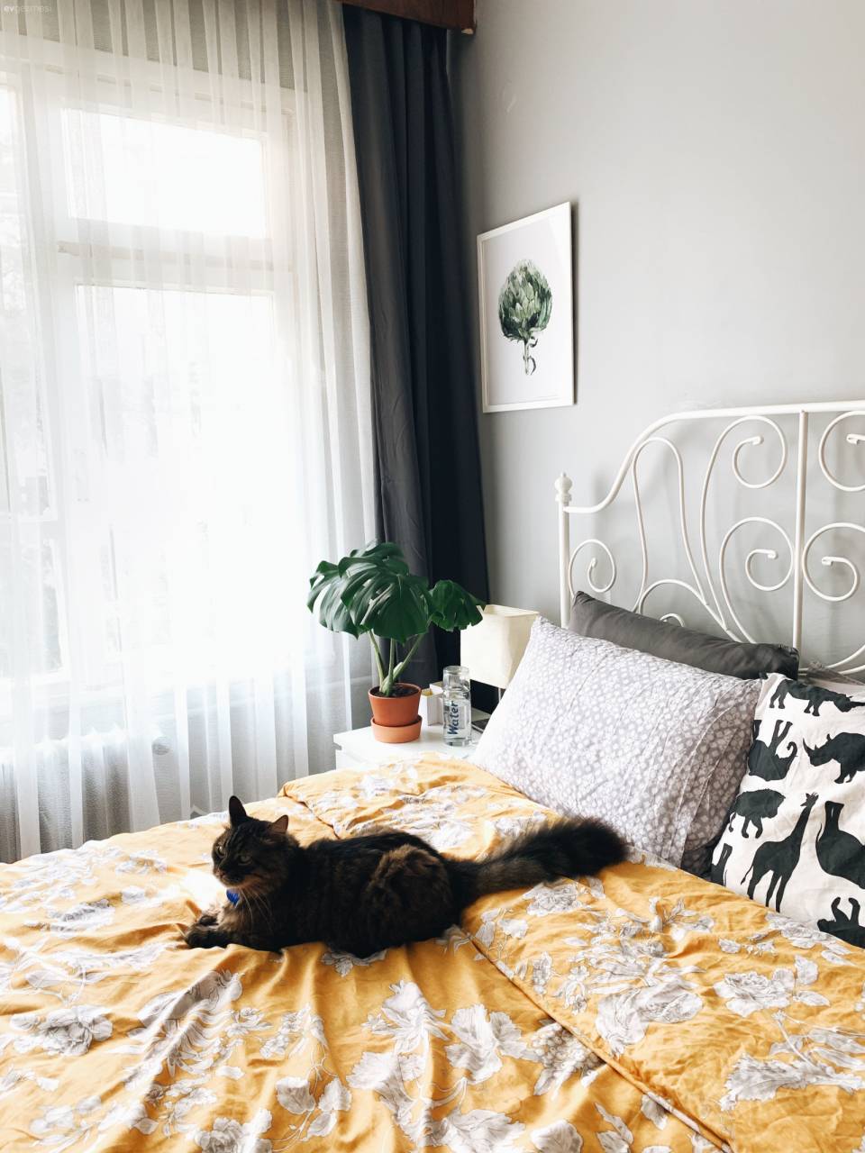 Bu Eski Apartman Dairesinde Asıl Ev Sahibi Bitkiler!