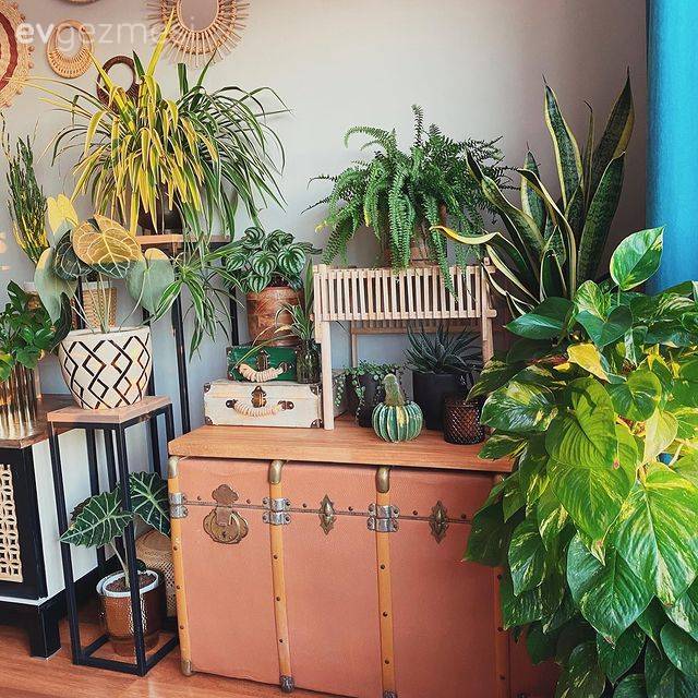 Bu Evin Her Köşesinde Bir Kendin Yap İşi 