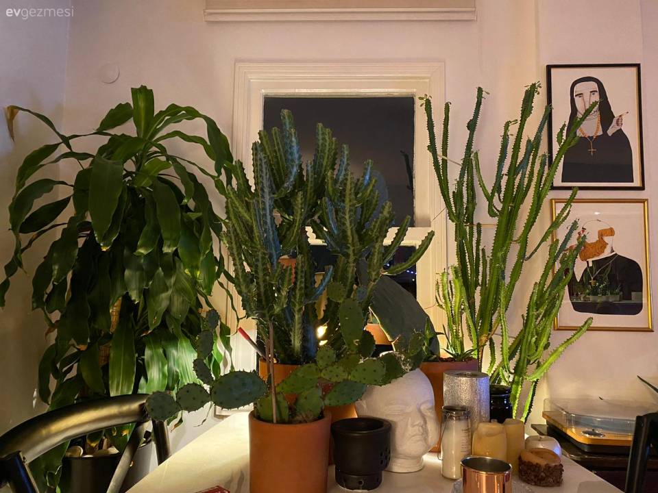 93 Yıllık Konağın Üstündeki Bu Evin Dışı Tablo, İçi de Sanat Galerisi