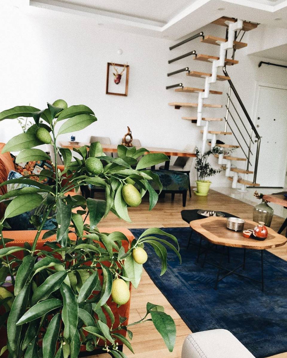 Ev Dekorasyonunda İndigo Mavi ile Uyumlu Renkler, Her Stile Uygun Dekorlar!