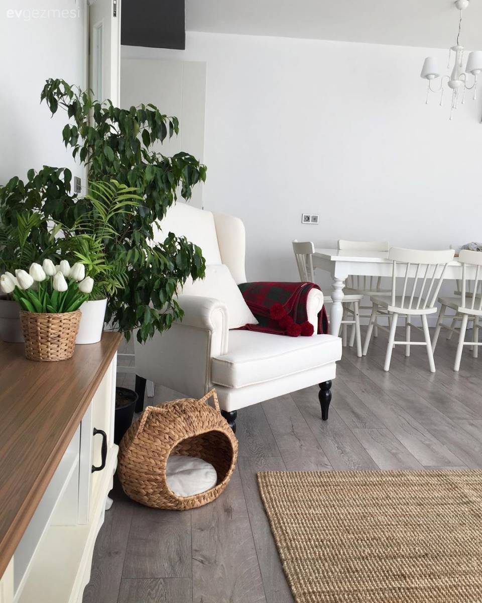 Gayesi Mutluluk Olan Bu Ev, İçine Huzuru Hapsetmiş