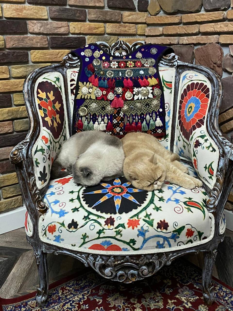 Bir Yanı Geçmişte Bir Yanı Bugünde: Tokat'tan Sıcacık Bir Yayla Evi