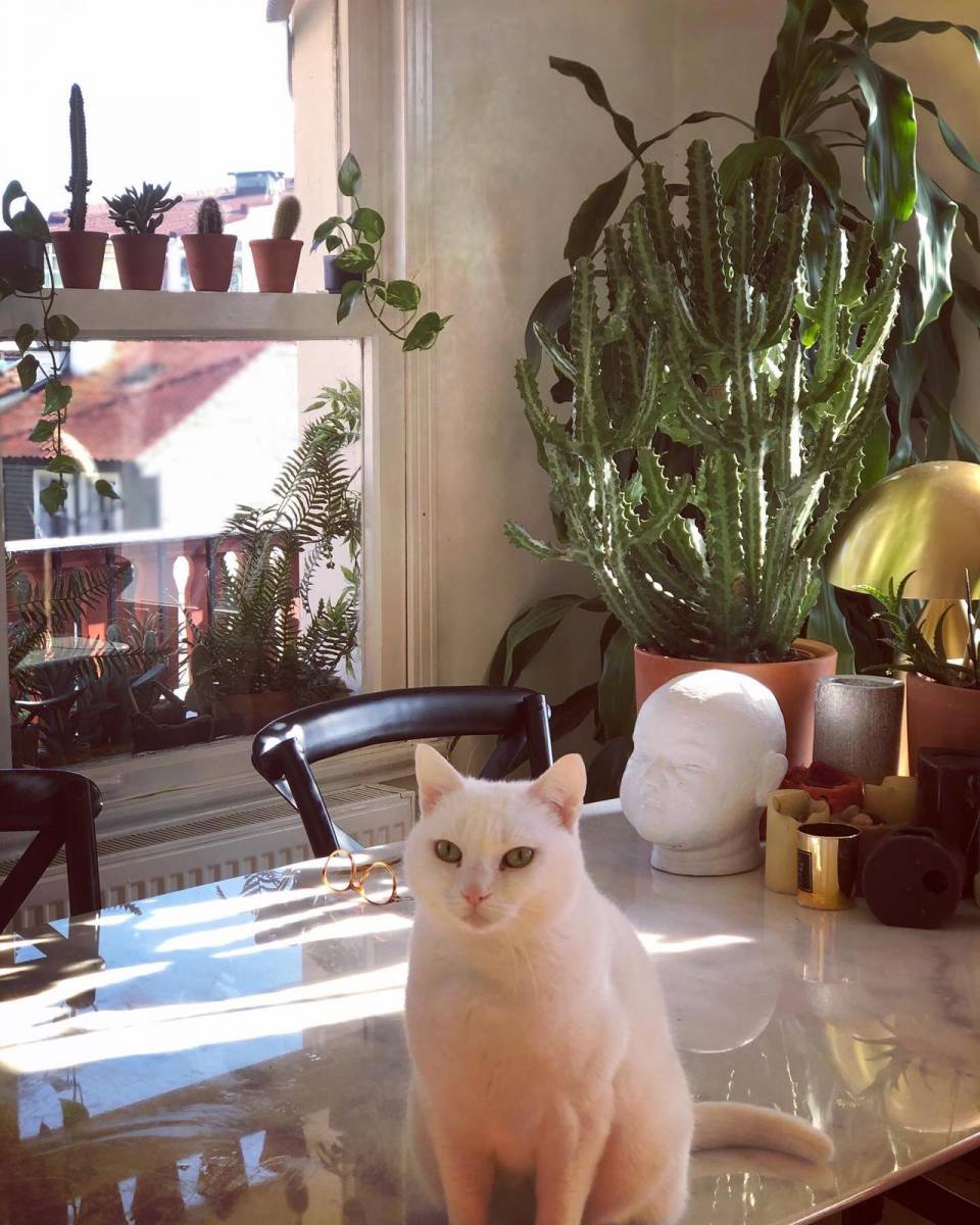 93 Yıllık Konağın Üstündeki Bu Evin Dışı Tablo, İçi de Sanat Galerisi