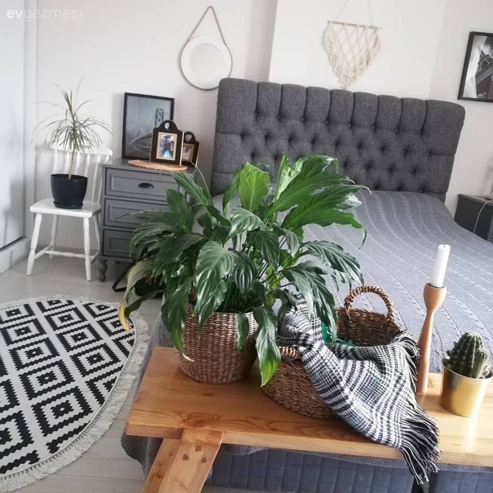 Yanık Turuncu ve Grinin Sıcak Enerjisi: Birsen Hanım'ın Şahane Dekoru