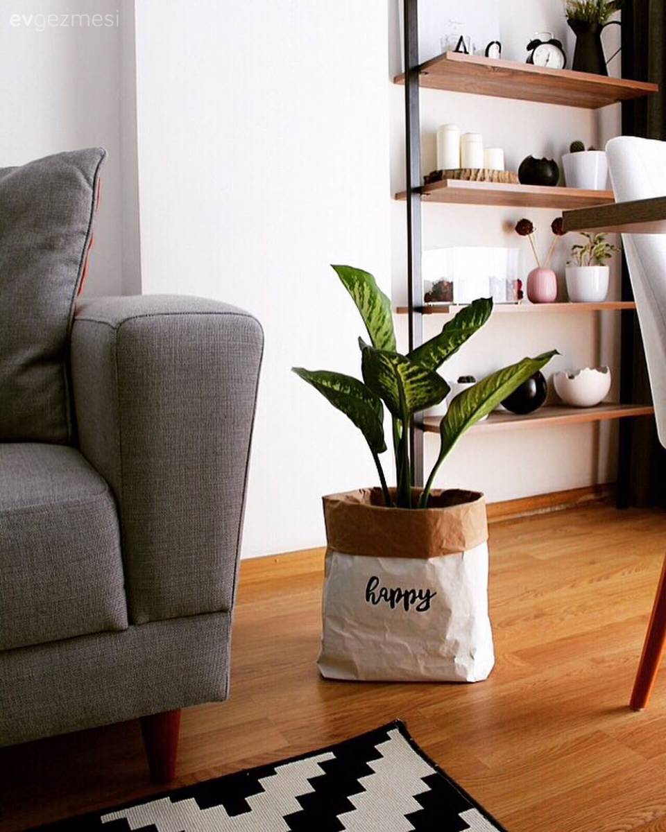 Modern Ruhlu Bu Salon Yeşil Duvarıyla Daha Bir Dikkat Çekici!