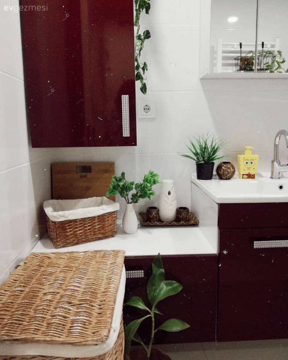Bu Apartman Dairesi Adeta Bir Botanik Bahçesi!