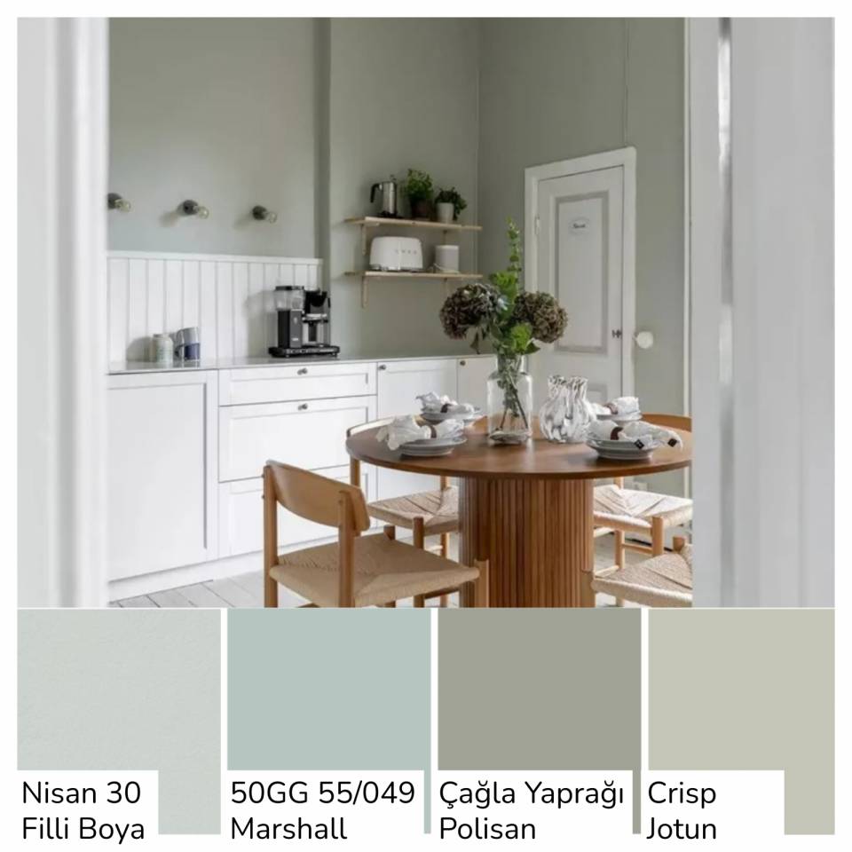 Beyaz Dolaplı Mutfaklara Çok Yakışan Duvar Boyası Renkleri