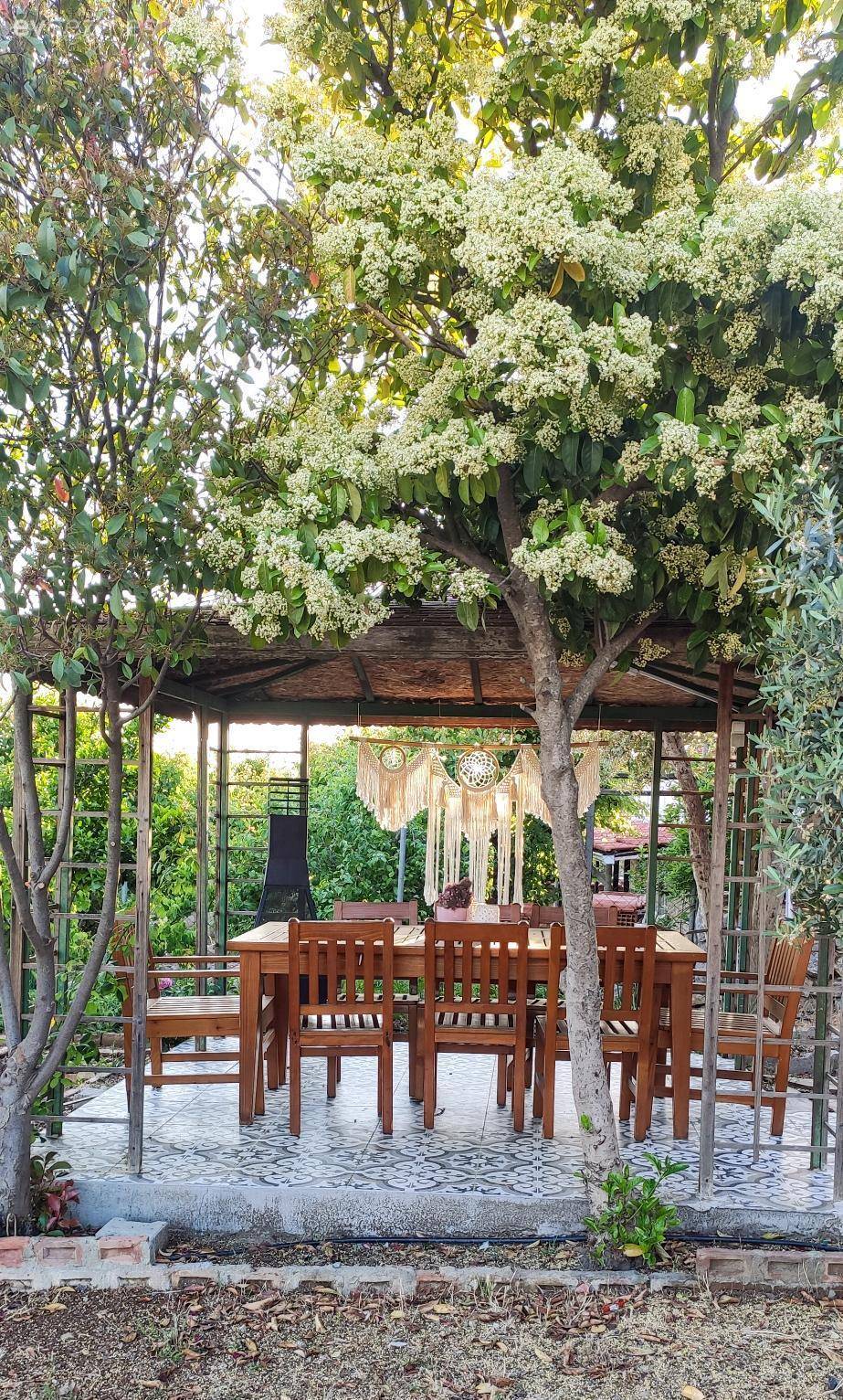 Yenilenen Bu Müstakil Evde Country Stilin İzleri Çok Belirgin