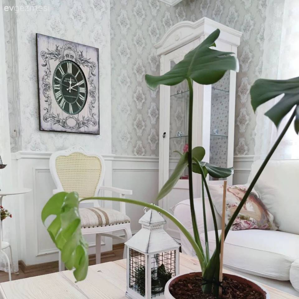 Country Stilden Vazgeçemeyen Bu Ev Hem Zarif Hem De Romantik