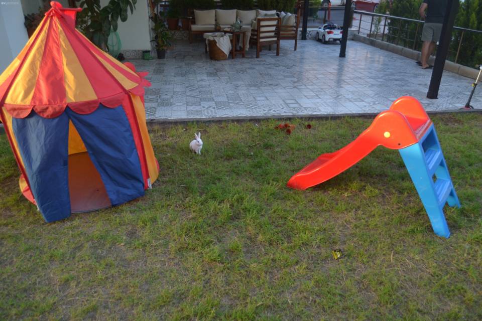 Çiftlik Havasındaki Bu Evde Her Dokunuş Hem Pratik Hem De Ekonomik!