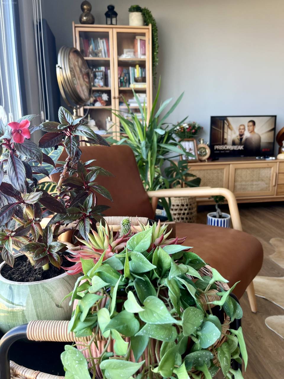 Tek Cephesi Tamamen Cam Olan Keyifli Samsun Evi! 