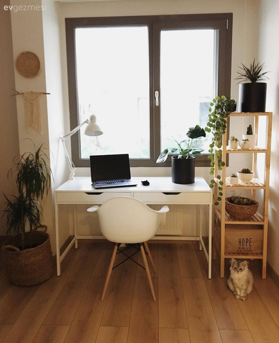 Ev Gezmesi: Mottosu Mutluluk Olan Bir İstanbul Evi