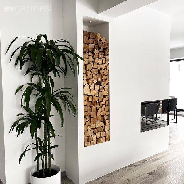 Siyah Baskın Olmasına Rağmen Karamsar Olmayan Bir Ev!