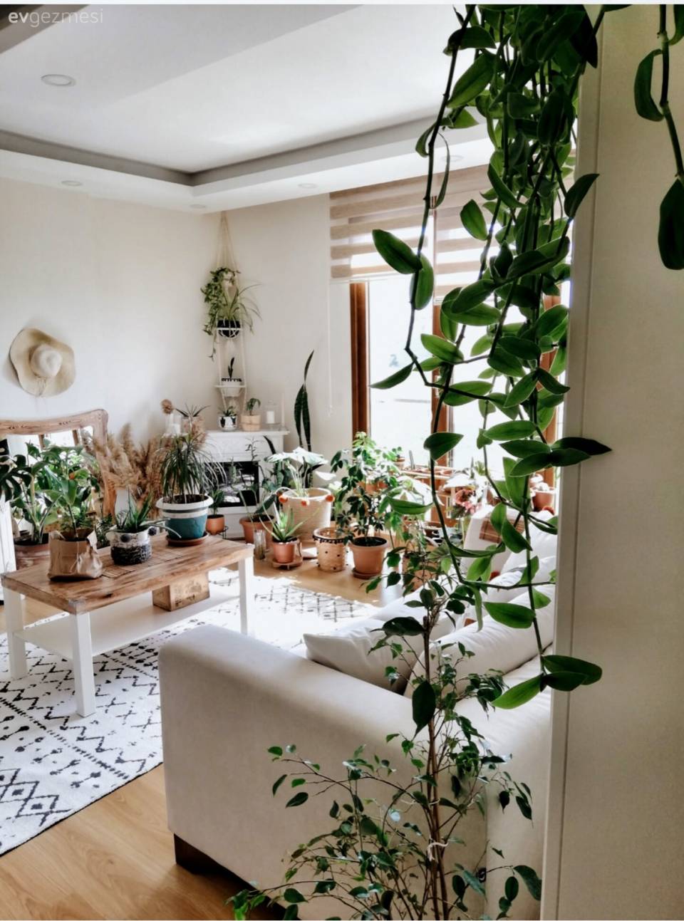 Bu Apartman Dairesi Adeta Bir Botanik Bahçesi!