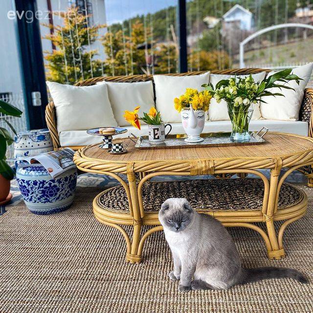 Bir Yanı Geçmişte Bir Yanı Bugünde: Tokat'tan Sıcacık Bir Yayla Evi