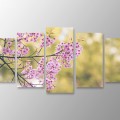 5 Parçalı Kanvas Tablolar - Özgün Dekor