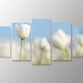 5 Parçalı Kanvas Tablolar - Özgün Dekor