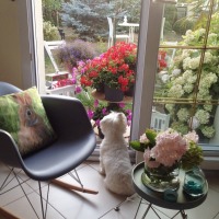 Yeşil ve çiçeklerin odakta olduğu zarif ve huzurlu bir ev