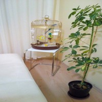 Deniz esintileriyle döşenmiş her köşesi özenli ve rahatlatıcı bir ev