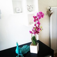 Müjde Hanım'ın rengarenk evi