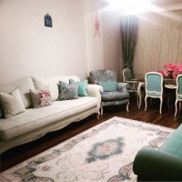 Turkuaz yeşile zarif mobilyaların eşlik ettiği keyifli bir ev..