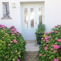 Yeşil ve çiçeklerin odakta olduğu zarif ve huzurlu bir ev