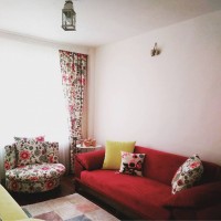 Turkuaz yeşile zarif mobilyaların eşlik ettiği keyifli bir ev..