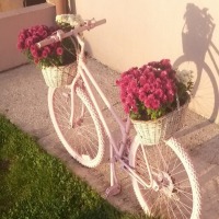 Pembe, mavi ve sarılarla rengarenk bir yaşam