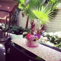 Sema Hanım'ın cıvıl cıvıl bahçe katı evinde ev gezmesindeyiz